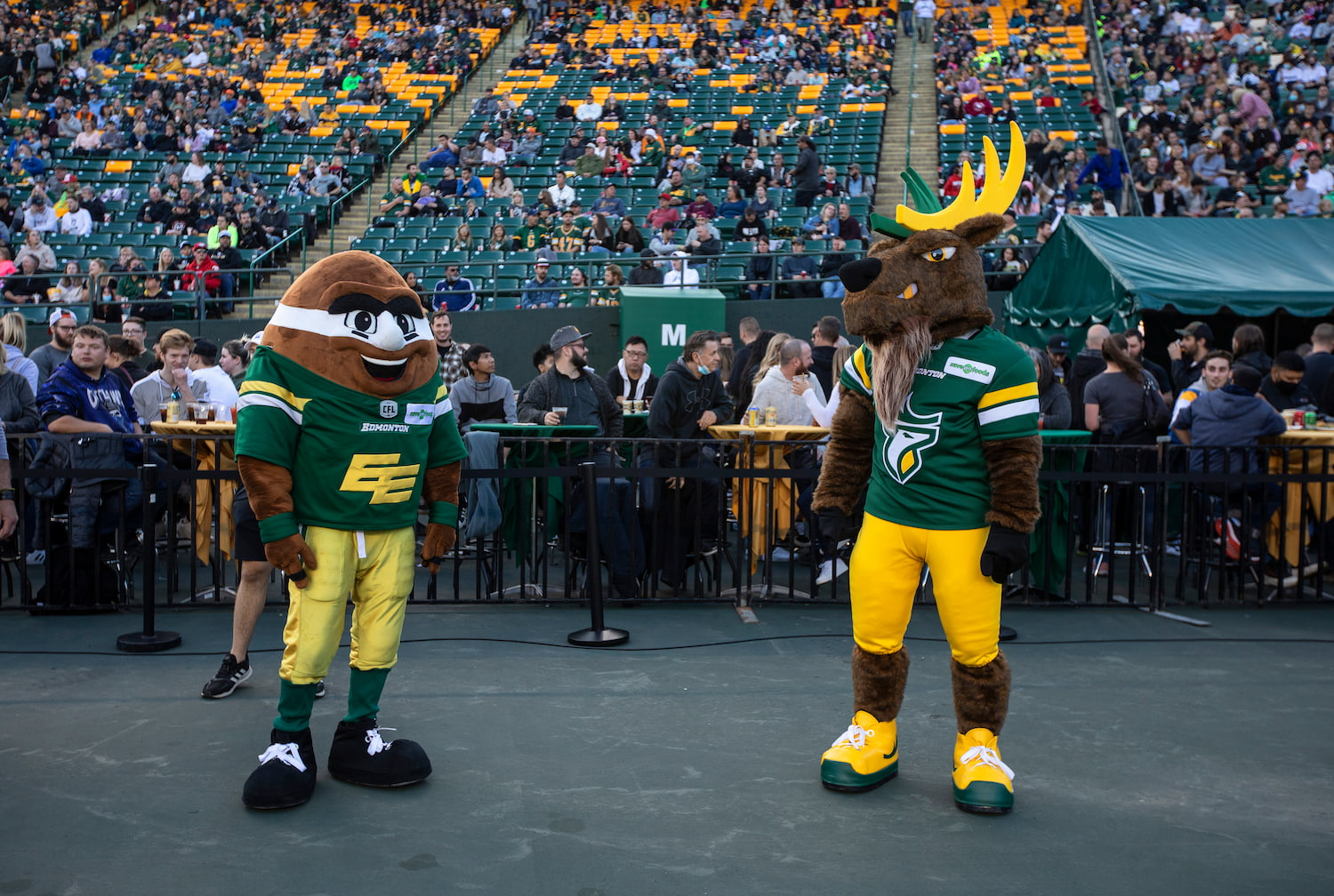The old Edmonton mascot, Punter, stands with the new mascot, Spike the Elk, at a game in September.