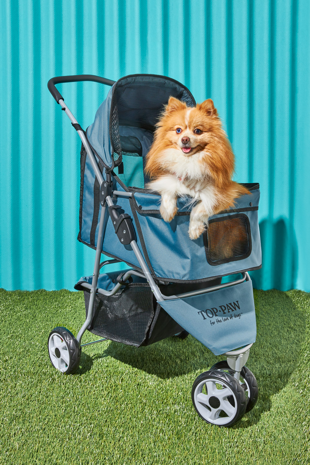 A photo of a dog in a stroller