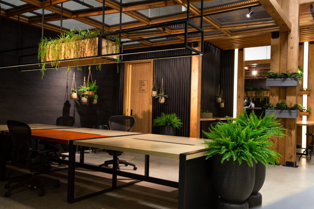 Large wooden desk in center of combine workspace next to fake plants 